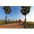 Team 29 / Raid Amazones Sri Lanka 2019 - J1 Trail