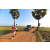 Team 29 / Raid Amazones Sri Lanka 2019 - J1 Trail