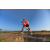 Team 38 / Raid Amazones Sri Lanka 2019 - J1 Trail