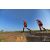 Team 28 / Raid Amazones Sri Lanka 2019 - J1 Trail