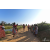 Team 50 / Raid Amazones Sri Lanka 2019 - J1 Trail