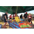 Team 50 / Raid Amazones Sri Lanka 2019 - J1 Trail