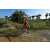 Team 36 / Raid Amazones Sri Lanka 2019 - J1 Trail
