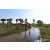 Team 19 / Raid Amazones Sri Lanka 2019 - J1 Trail