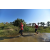 Team 19 / Raid Amazones Sri Lanka 2019 - J1 Trail