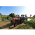 Raid Amazones Sri Lanka 2019 - J1 Trail