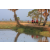 Raid Amazones Sri Lanka 2019 - J1 Trail