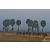 Raid Amazones Sri Lanka 2019 - J1 Trail