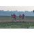 Team 107 / Raid Amazones Sri Lanka 2019 - J1 Trail