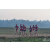 Team 107 / Raid Amazones Sri Lanka 2019 - J1 Trail