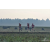 Team 105 / Raid Amazones Sri Lanka 2019 - J1 Trail