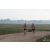 Team 38 / Raid Amazones Sri Lanka 2019 - J1 Trail
