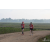 Team 38 / Raid Amazones Sri Lanka 2019 - J1 Trail