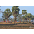 Raid Amazones Sri Lanka 2019 - J1 Trail