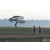 Team 44 / Raid Amazones Sri Lanka 2019 - J1 Trail