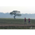 Team 44 / Raid Amazones Sri Lanka 2019 - J1 Trail