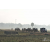 Raid Amazones Sri Lanka 2019 - J1 Trail