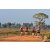 Team 50 / Raid Amazones Sri Lanka 2019 - J1 Trail