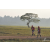 Team 29 / Raid Amazones Sri Lanka 2019 - J1 Trail