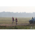 Team 29 / Raid Amazones Sri Lanka 2019 - J1 Trail