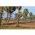 Team 47 / Raid Amazones Sri Lanka 2019 - J1 Trail