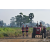 Team 14 / Raid Amazones Sri Lanka 2019 - J1 Trail