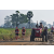 Team 12 / Raid Amazones Sri Lanka 2019 - J1 Trail