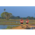 Team 14 / Raid Amazones Sri Lanka 2019 - J1 Trail