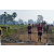 Team 09 / Raid Amazones Sri Lanka 2019 - J1 Trail