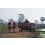 Team 135 / Raid Amazones Sri Lanka 2019 - J1 Trail