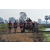 Team 135 / Raid Amazones Sri Lanka 2019 - J1 Trail