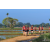 Raid Amazones Sri Lanka 2019 - J1 Trail