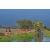 Raid Amazones Sri Lanka 2019 - J1 Trail
