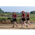 Team 05 / Raid Amazones Sri Lanka 2019 - J1 Trail