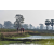 Team 16 / Raid Amazones Sri Lanka 2019 - J1 Trail