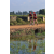 Team 50 / Raid Amazones Sri Lanka 2019 - J1 Trail