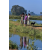 Raid Amazones Sri Lanka 2019 - J1 Trail