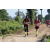 Team 101 / Raid Amazones Sri Lanka 2019 - J1 Trail