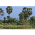 Raid Amazones Sri Lanka 2019 - J1 Trail