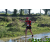 Team 50 / Raid Amazones Sri Lanka 2019 - J1 Trail