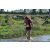 Team 50 / Raid Amazones Sri Lanka 2019 - J1 Trail