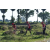 Team 16 / Raid Amazones Sri Lanka 2019 - J1 Trail