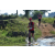 Team 17 / Raid Amazones Sri Lanka 2019 - J1 Trail
