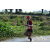 Team 17 / Raid Amazones Sri Lanka 2019 - J1 Trail