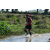 Team 17 / Raid Amazones Sri Lanka 2019 - J1 Trail