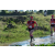 Team 47 / Raid Amazones Sri Lanka 2019 - J1 Trail