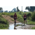 Team 36 / Raid Amazones Sri Lanka 2019 - J1 Trail