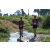 Team 36 / Raid Amazones Sri Lanka 2019 - J1 Trail