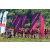 Raid Amazones Sri Lanka 2019 - J1 Trail