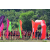 Raid Amazones Sri Lanka 2019 - J1 Trail